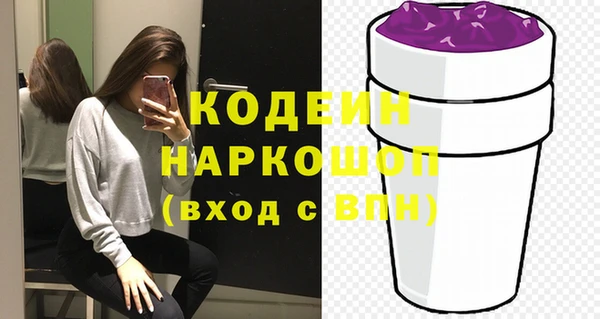 индика Абинск