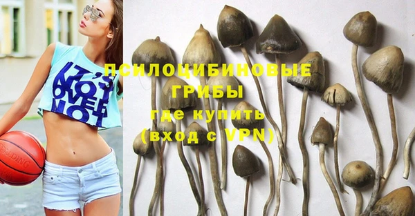 индика Абинск