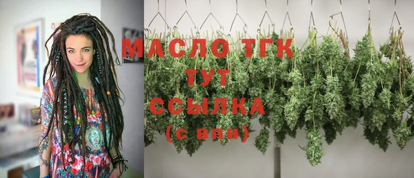 крисы Абаза