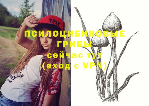 скорость Алексеевка