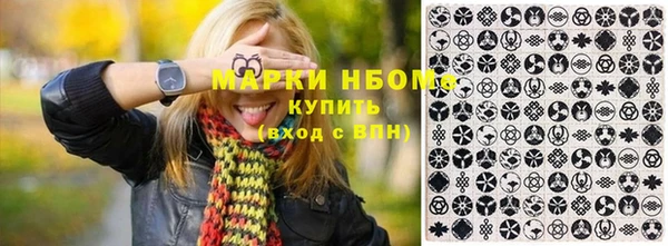 индика Абинск