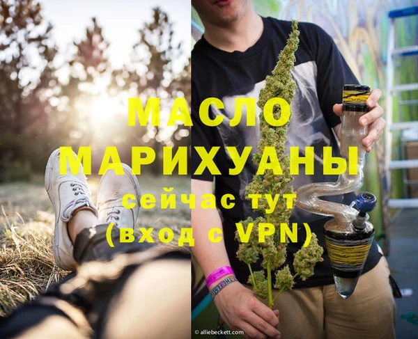 индика Абинск