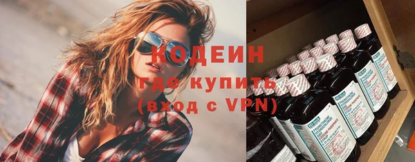 индика Абинск
