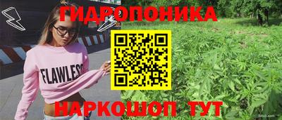 кокс Ярославль