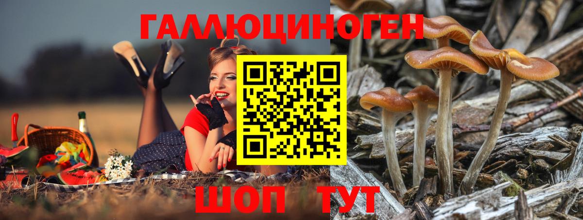 Псилоцибиновые грибы прущие грибы Ангарск